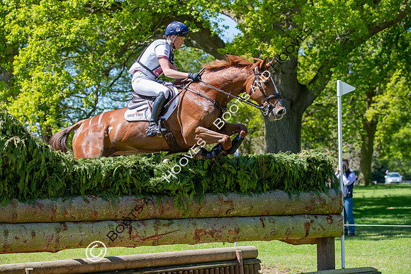 Houghton International