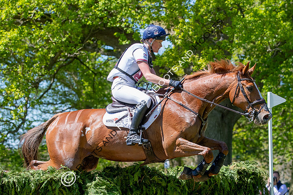 Houghton International