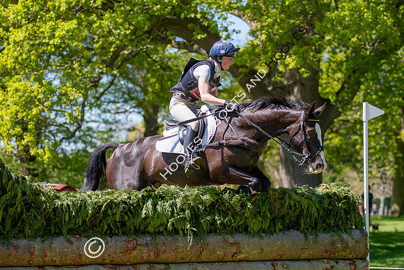 Houghton International