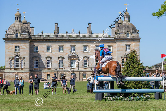 Houghton International