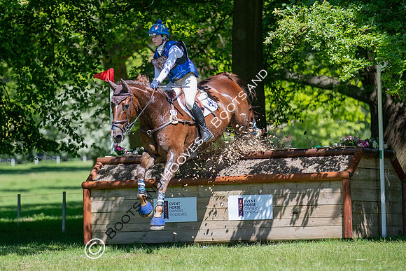 Houghton International