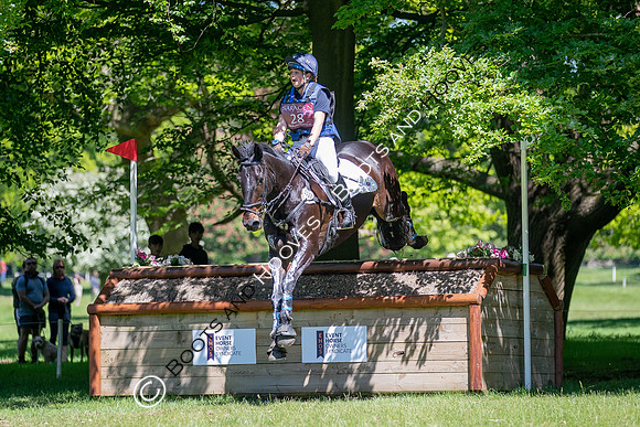 Houghton International