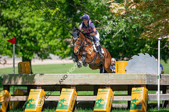 Houghton International