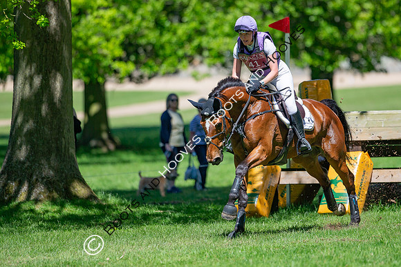 Houghton International