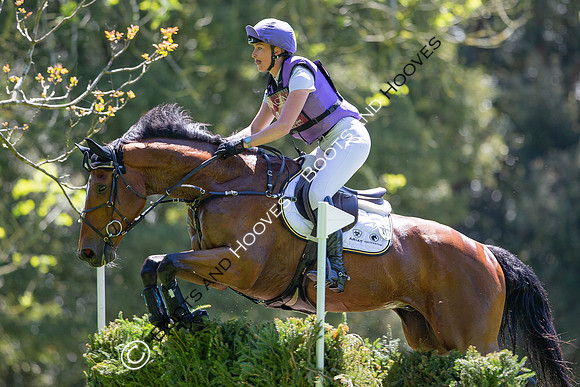 Houghton International