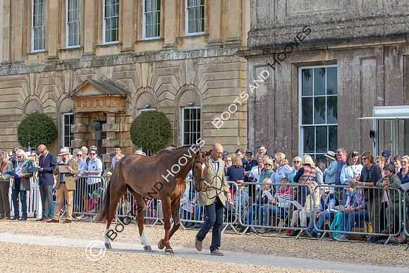 Badminton Horse Trials