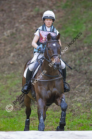 Houghton International