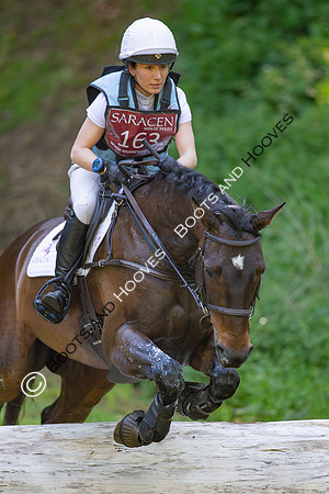 Houghton International