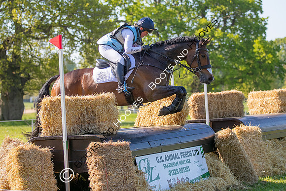 Houghton International