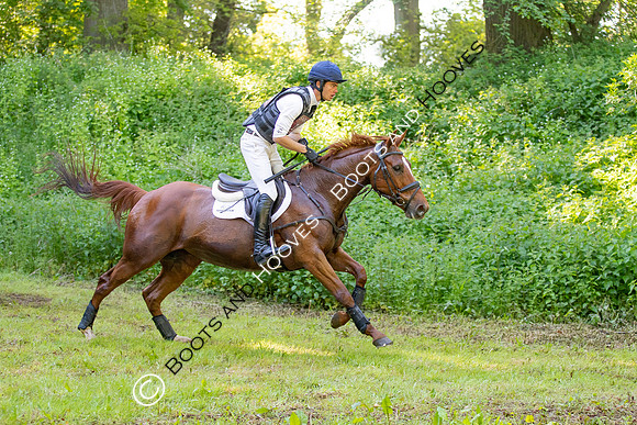 Houghton International