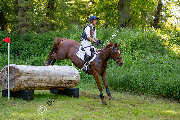 Houghton International