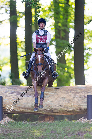 Houghton International