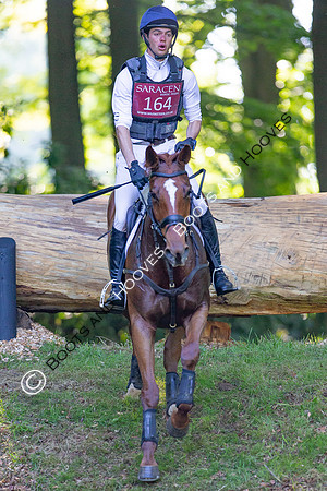 Houghton International