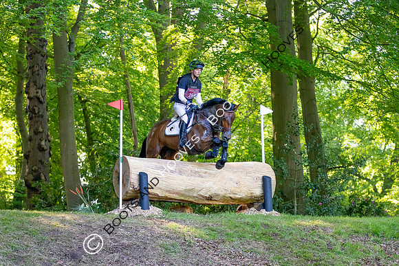 Houghton International