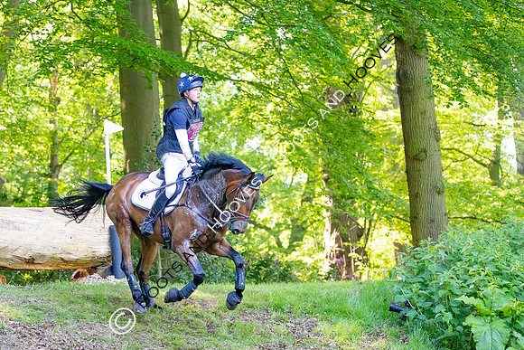 Houghton International