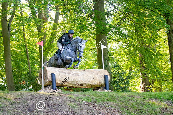 Houghton International