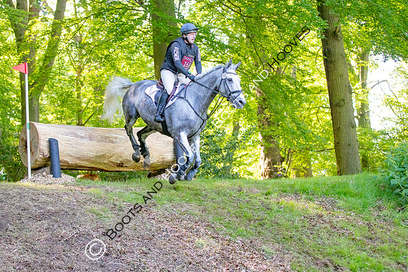Houghton International