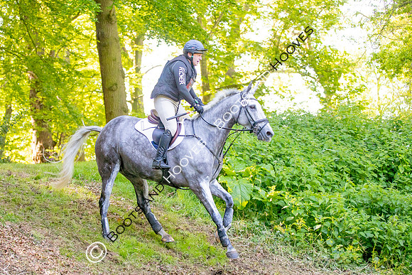 Houghton International