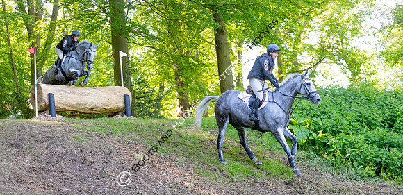 Houghton International