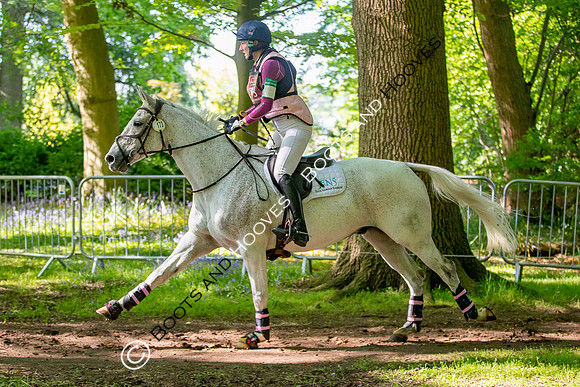 Houghton International