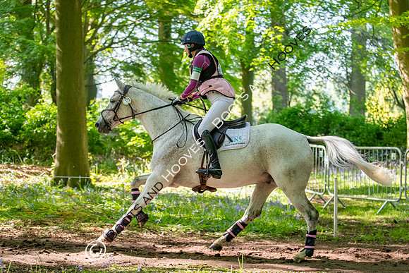 Houghton International