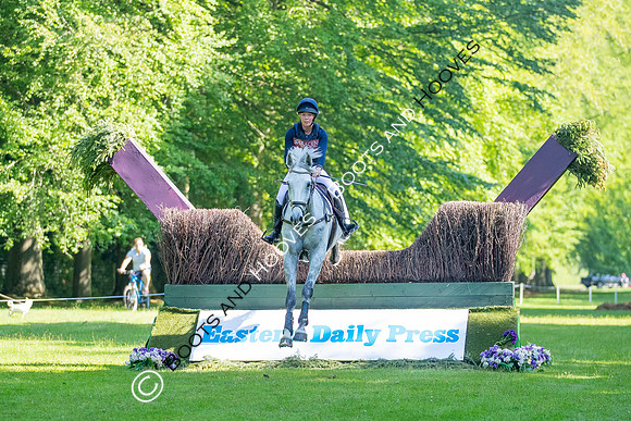 Houghton International