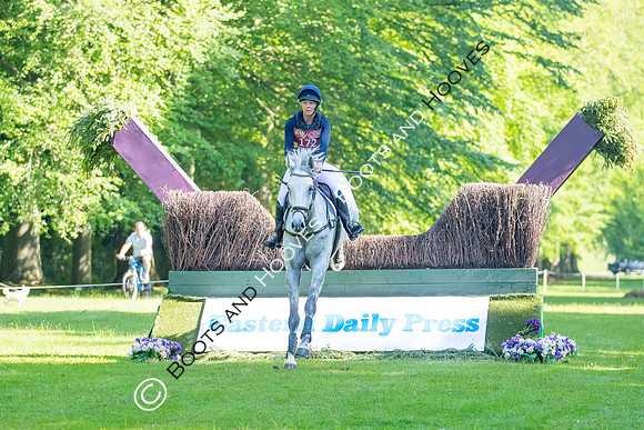 Houghton International