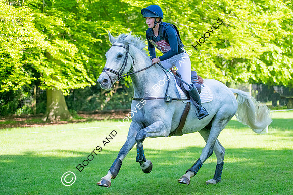 Houghton International