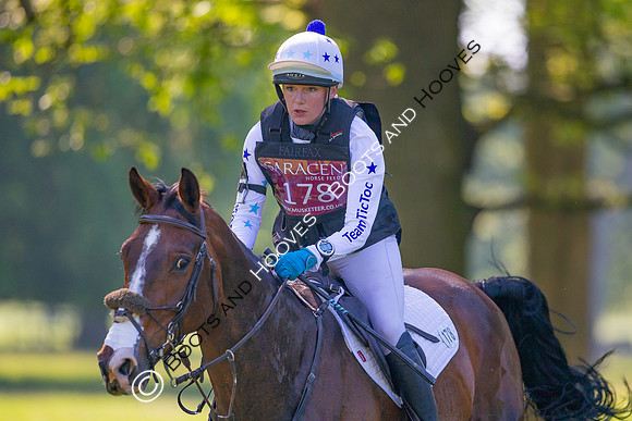 Houghton International