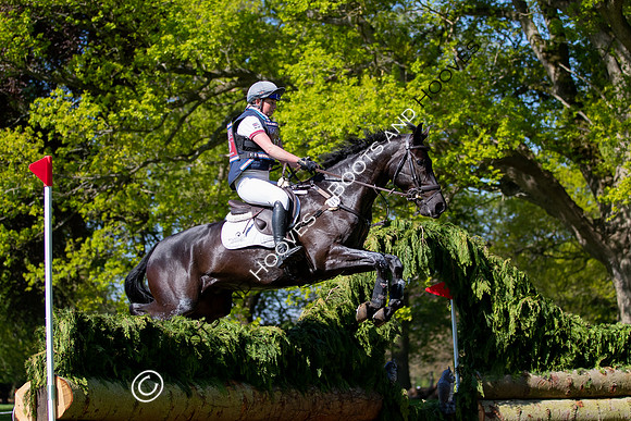 Houghton International