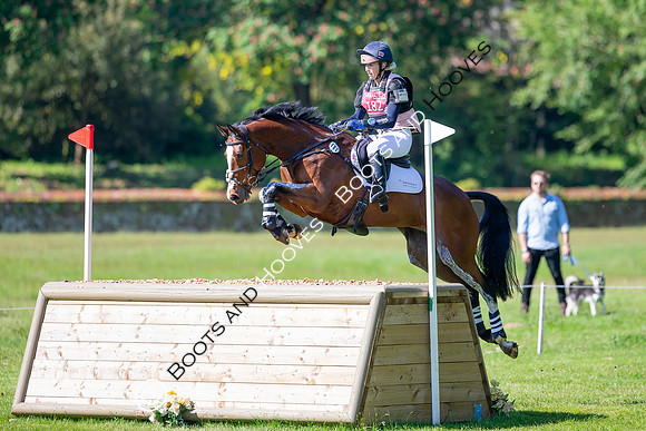 Houghton International