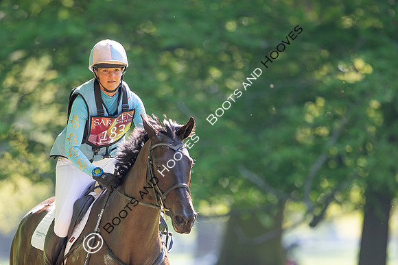Houghton International