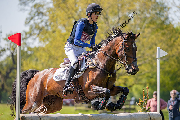 Houghton International