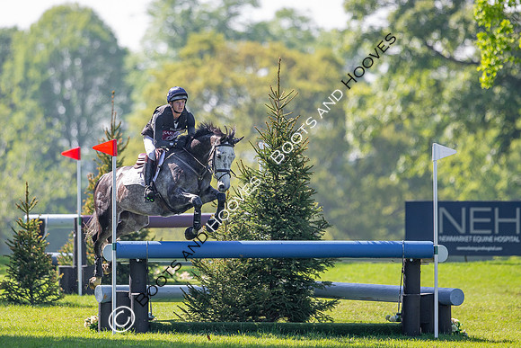 Houghton International