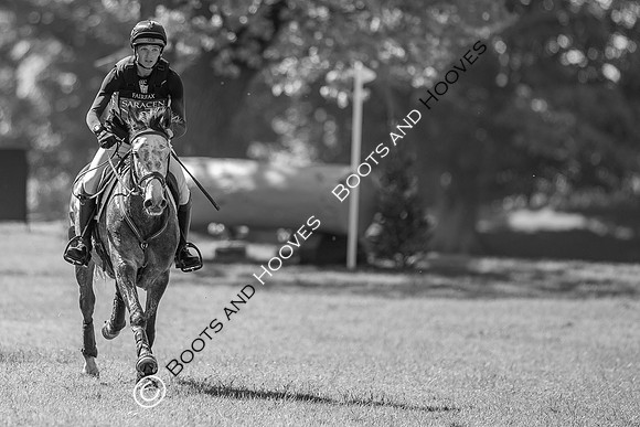 Houghton International