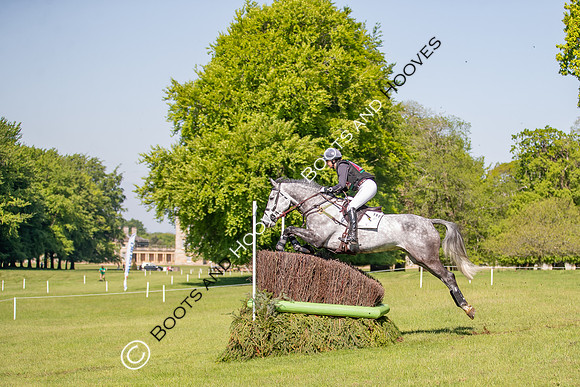 Houghton International
