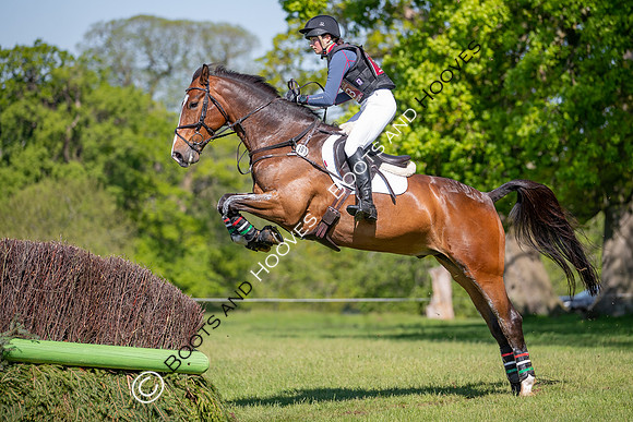 Houghton International
