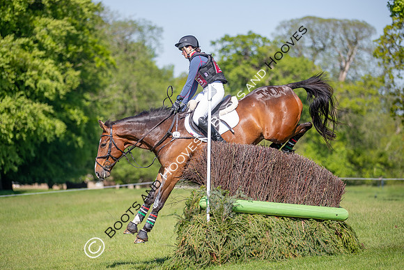 Houghton International