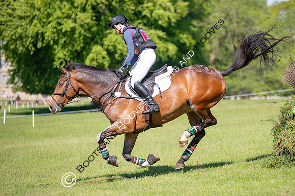 Houghton International