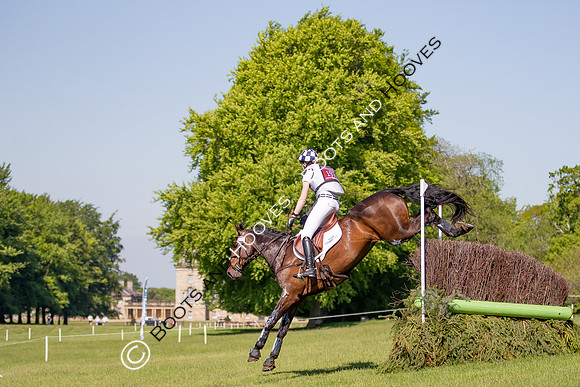 Houghton International