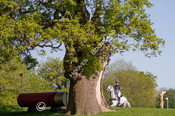 Houghton International