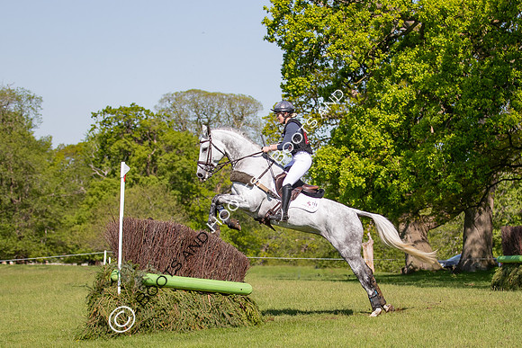 Houghton International
