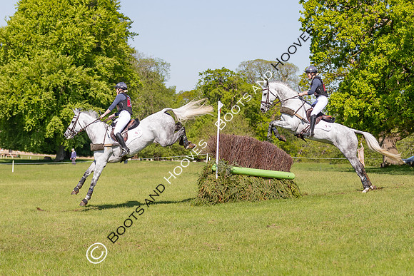Houghton International