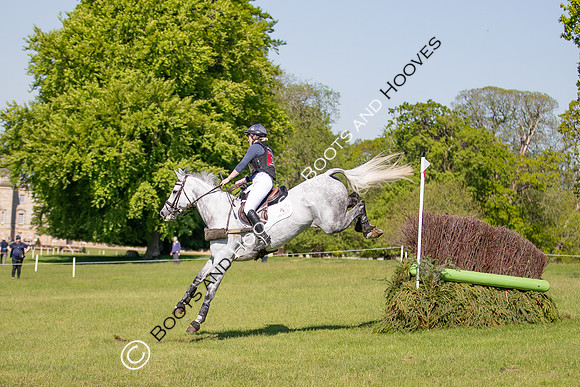 Houghton International