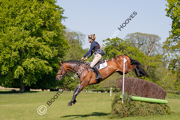 Houghton International