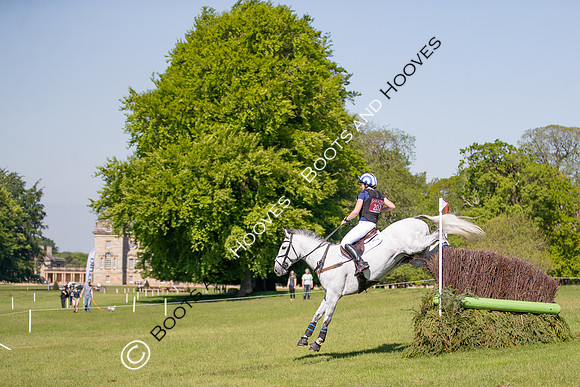 Houghton International