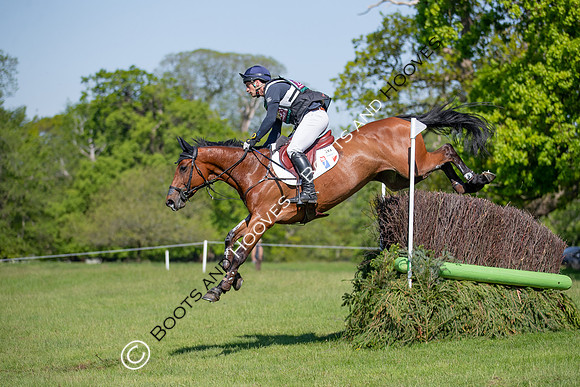 Houghton International