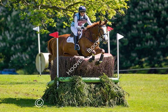 Houghton International