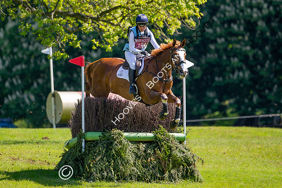 Houghton International