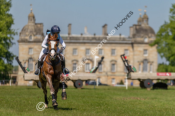 Houghton International